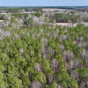 Photo #31 of SOLD property in Off Hwy US 17, Vanceboro, NC 13.6 acres