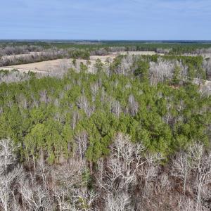 Photo #32 of SOLD property in Off Hwy US 17, Vanceboro, NC 13.6 acres