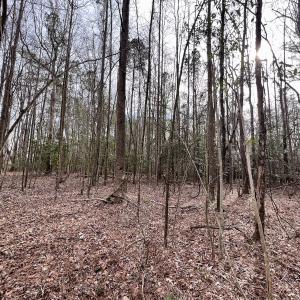 Photo #34 of SOLD property in Off Hwy US 17, Vanceboro, NC 13.6 acres