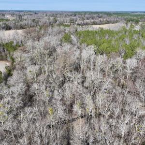 Photo #35 of SOLD property in Off Hwy US 17, Vanceboro, NC 13.6 acres