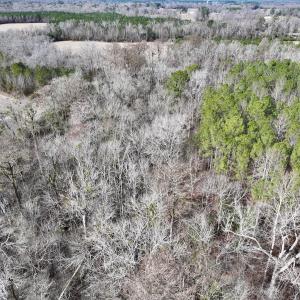 Photo #36 of SOLD property in Off Hwy US 17, Vanceboro, NC 13.6 acres