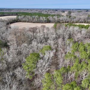 Photo #37 of SOLD property in Off Hwy US 17, Vanceboro, NC 13.6 acres
