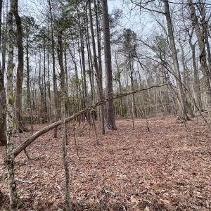 Photo #38 of SOLD property in Off Hwy US 17, Vanceboro, NC 13.6 acres