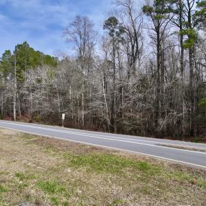 Photo #42 of SOLD property in Off Hwy US 17, Vanceboro, NC 13.6 acres