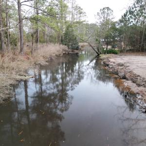 Photo #11 of SOLD property in 113 Matthews Rd, Bayboro, NC 5.3 acres