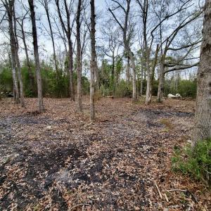 Photo #14 of SOLD property in 113 Matthews Rd, Bayboro, NC 5.3 acres