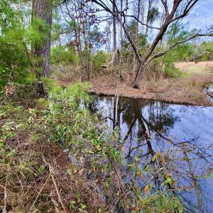 Photo #15 of SOLD property in 113 Matthews Rd, Bayboro, NC 5.3 acres