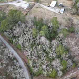 Photo #17 of SOLD property in 113 Matthews Rd, Bayboro, NC 5.3 acres