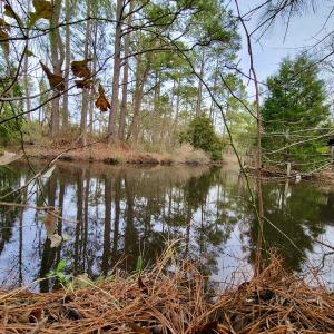 Photo #19 of SOLD property in 113 Matthews Rd, Bayboro, NC 5.3 acres