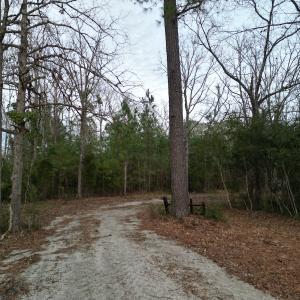 Photo #20 of SOLD property in 113 Matthews Rd, Bayboro, NC 5.3 acres
