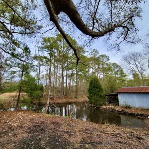 Photo #3 of SOLD property in 113 Matthews Rd, Bayboro, NC 5.3 acres