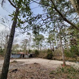 Photo #4 of SOLD property in 113 Matthews Rd, Bayboro, NC 5.3 acres