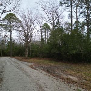 Photo #5 of SOLD property in 113 Matthews Rd, Bayboro, NC 5.3 acres