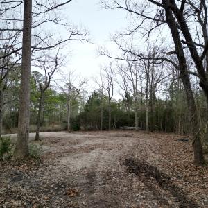 Photo #6 of SOLD property in 113 Matthews Rd, Bayboro, NC 5.3 acres