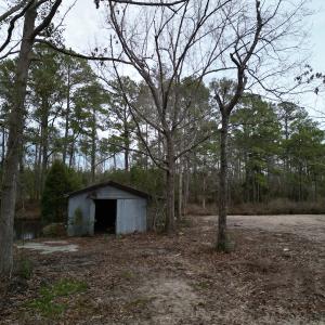 Photo #7 of SOLD property in 113 Matthews Rd, Bayboro, NC 5.3 acres