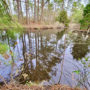 Photo #8 of SOLD property in 113 Matthews Rd, Bayboro, NC 5.3 acres