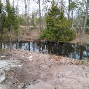 Photo #9 of SOLD property in 113 Matthews Rd, Bayboro, NC 5.3 acres