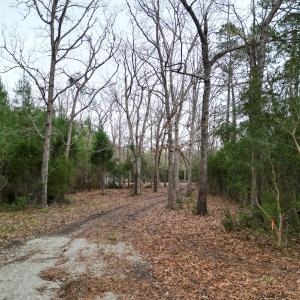 Photo #21 of SOLD property in 113 Matthews Rd, Bayboro, NC 5.3 acres