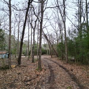 Photo #22 of SOLD property in 113 Matthews Rd, Bayboro, NC 5.3 acres