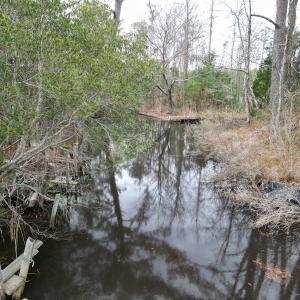 Photo #23 of SOLD property in 113 Matthews Rd, Bayboro, NC 5.3 acres