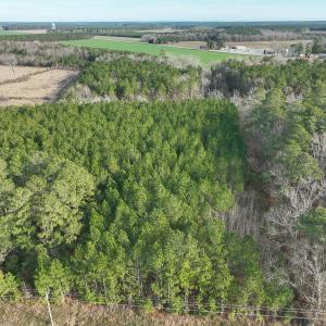 Photo #41 of 7297 NC Hwy 99 S, Belhaven, NC 23.0 acres