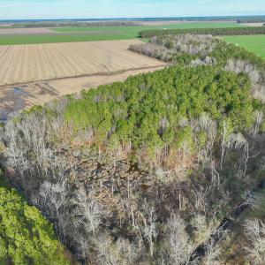 Photo #42 of 7297 NC Hwy 99 S, Belhaven, NC 23.0 acres