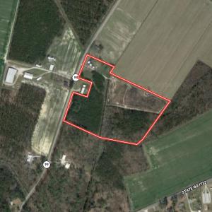 Photo #49 of 7297 NC Hwy 99 S, Belhaven, NC 23.0 acres