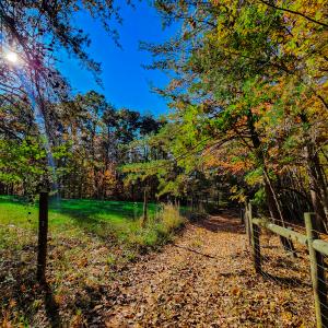 Photo #11 of SOLD property in 1254 Anglin Mill Rd, Stoneville, NC 44.5 acres