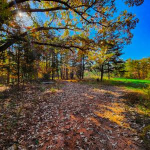 Photo #12 of SOLD property in 1254 Anglin Mill Rd, Stoneville, NC 44.5 acres