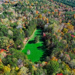 Photo #13 of SOLD property in 1254 Anglin Mill Rd, Stoneville, NC 44.5 acres