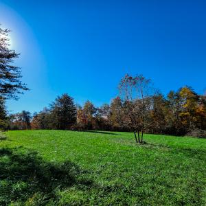 Photo #14 of SOLD property in 1254 Anglin Mill Rd, Stoneville, NC 44.5 acres