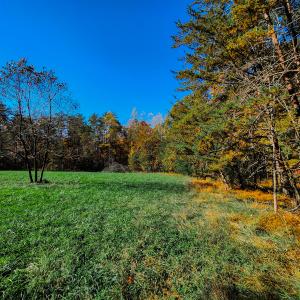 Photo #15 of SOLD property in 1254 Anglin Mill Rd, Stoneville, NC 44.5 acres