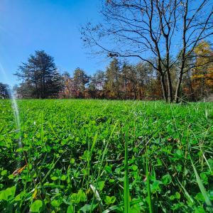 Photo #16 of SOLD property in 1254 Anglin Mill Rd, Stoneville, NC 44.5 acres