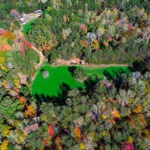 Photo #17 of SOLD property in 1254 Anglin Mill Rd, Stoneville, NC 44.5 acres