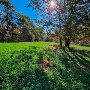 Photo #22 of SOLD property in 1254 Anglin Mill Rd, Stoneville, NC 44.5 acres