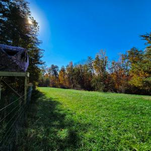 Photo #23 of SOLD property in 1254 Anglin Mill Rd, Stoneville, NC 44.5 acres