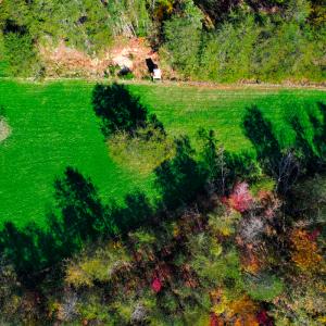 Photo #24 of SOLD property in 1254 Anglin Mill Rd, Stoneville, NC 44.5 acres