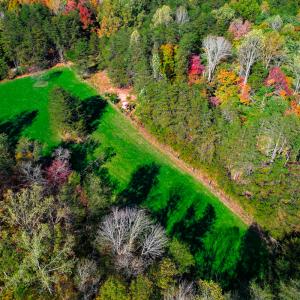 Photo #26 of SOLD property in 1254 Anglin Mill Rd, Stoneville, NC 44.5 acres