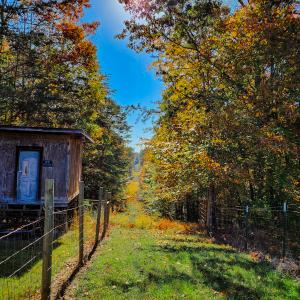 Photo #30 of SOLD property in 1254 Anglin Mill Rd, Stoneville, NC 44.5 acres