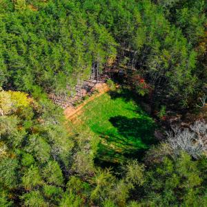Photo #31 of SOLD property in 1254 Anglin Mill Rd, Stoneville, NC 44.5 acres