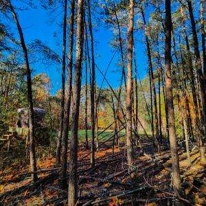 Photo #33 of SOLD property in 1254 Anglin Mill Rd, Stoneville, NC 44.5 acres