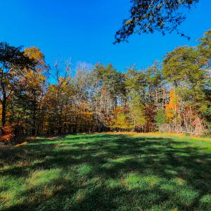 Photo #34 of SOLD property in 1254 Anglin Mill Rd, Stoneville, NC 44.5 acres