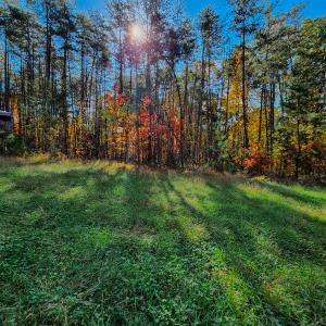 Photo #35 of SOLD property in 1254 Anglin Mill Rd, Stoneville, NC 44.5 acres