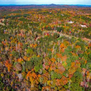 Photo #36 of SOLD property in 1254 Anglin Mill Rd, Stoneville, NC 44.5 acres