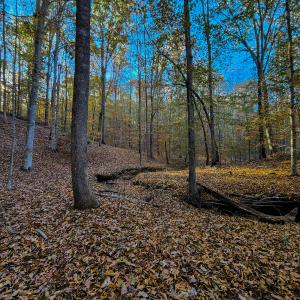 Photo #37 of SOLD property in 1254 Anglin Mill Rd, Stoneville, NC 44.5 acres