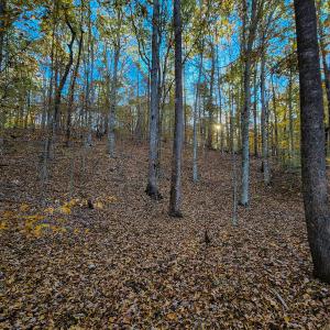 Photo #38 of SOLD property in 1254 Anglin Mill Rd, Stoneville, NC 44.5 acres