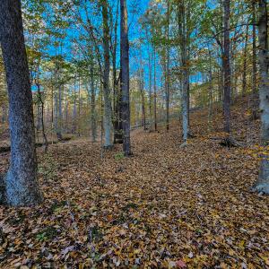 Photo #39 of SOLD property in 1254 Anglin Mill Rd, Stoneville, NC 44.5 acres