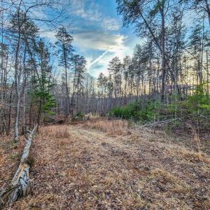 Photo #9 of SOLD property in 1254 Anglin Mill Rd, Stoneville, NC 44.5 acres
