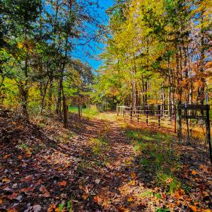 Photo #10 of SOLD property in 1254 Anglin Mill Rd, Stoneville, NC 44.5 acres