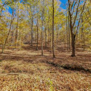 Photo #41 of SOLD property in 1254 Anglin Mill Rd, Stoneville, NC 44.5 acres